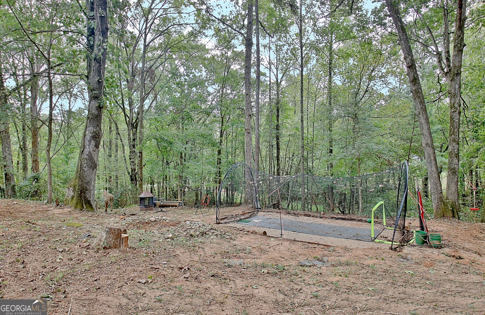 519 Cumberland Trail Senoia - 42
