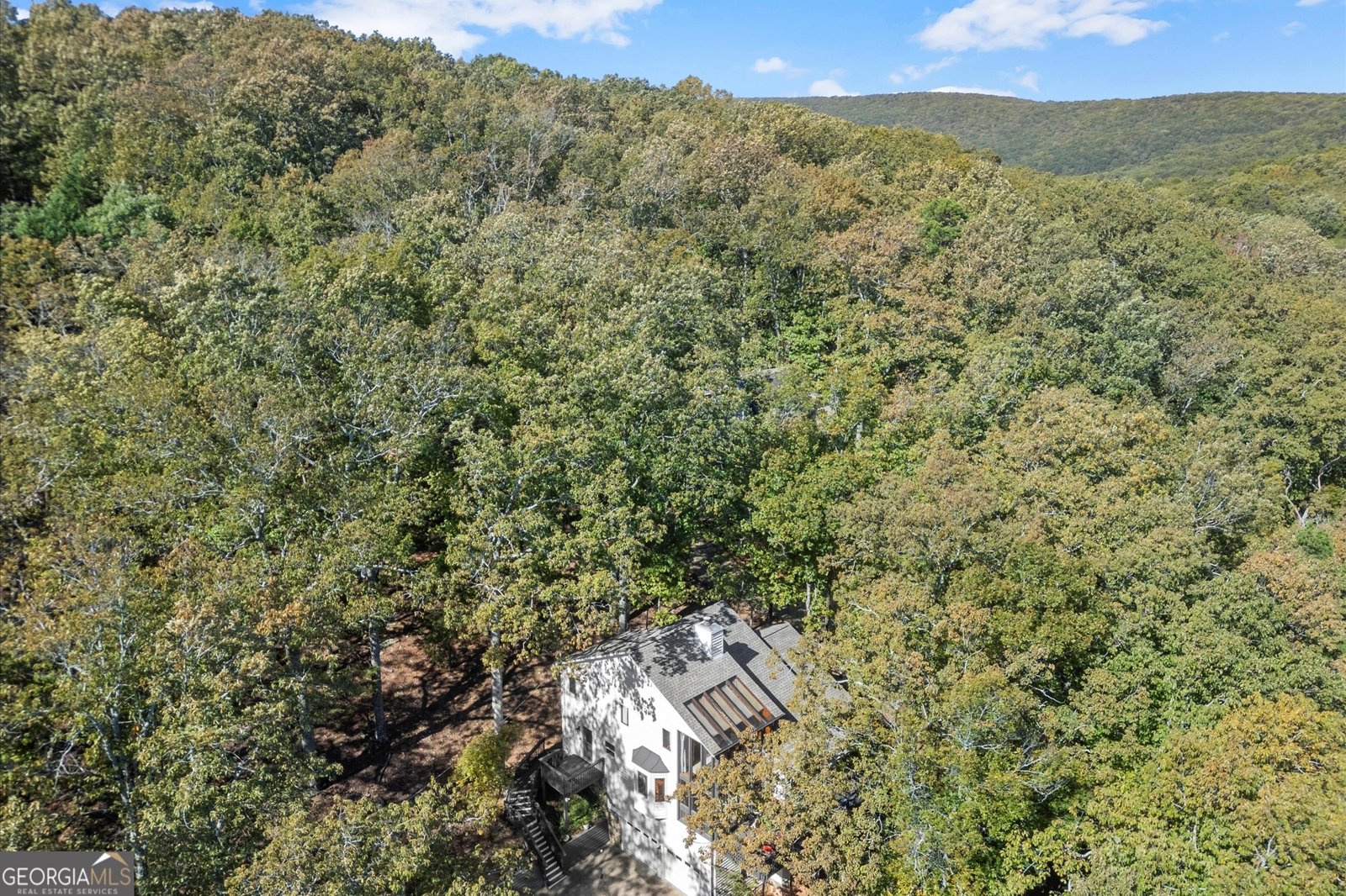 894 Lake Arrowhead Drive Waleska - 2