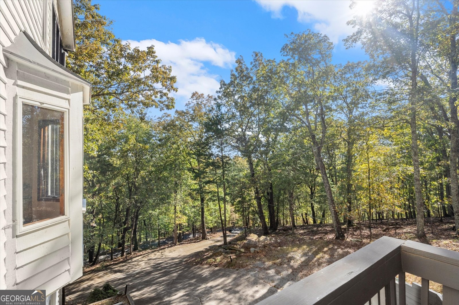 894 Lake Arrowhead Drive Waleska - 51