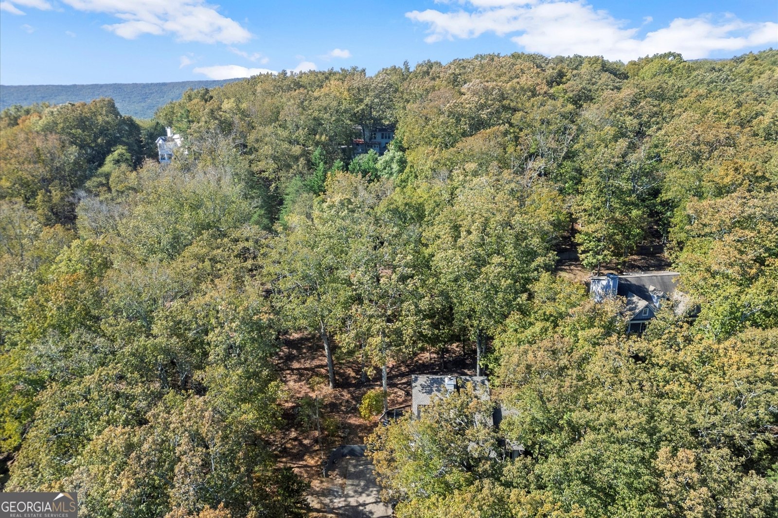 894 Lake Arrowhead Drive Waleska - 58
