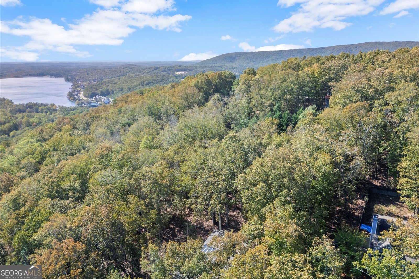 894 Lake Arrowhead Drive Waleska - 59