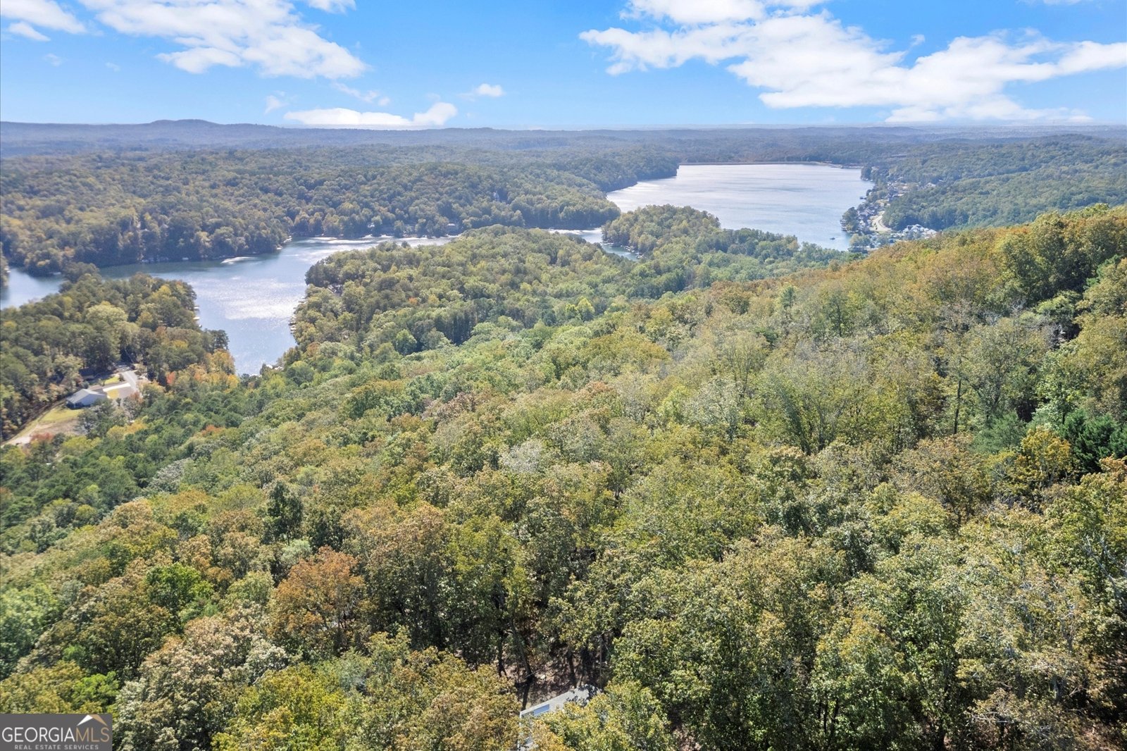 894 Lake Arrowhead Drive Waleska - 60