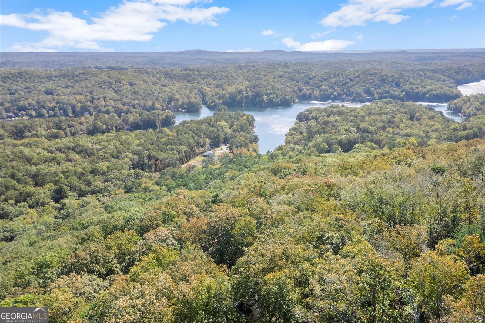 894 Lake Arrowhead Drive Waleska - 61