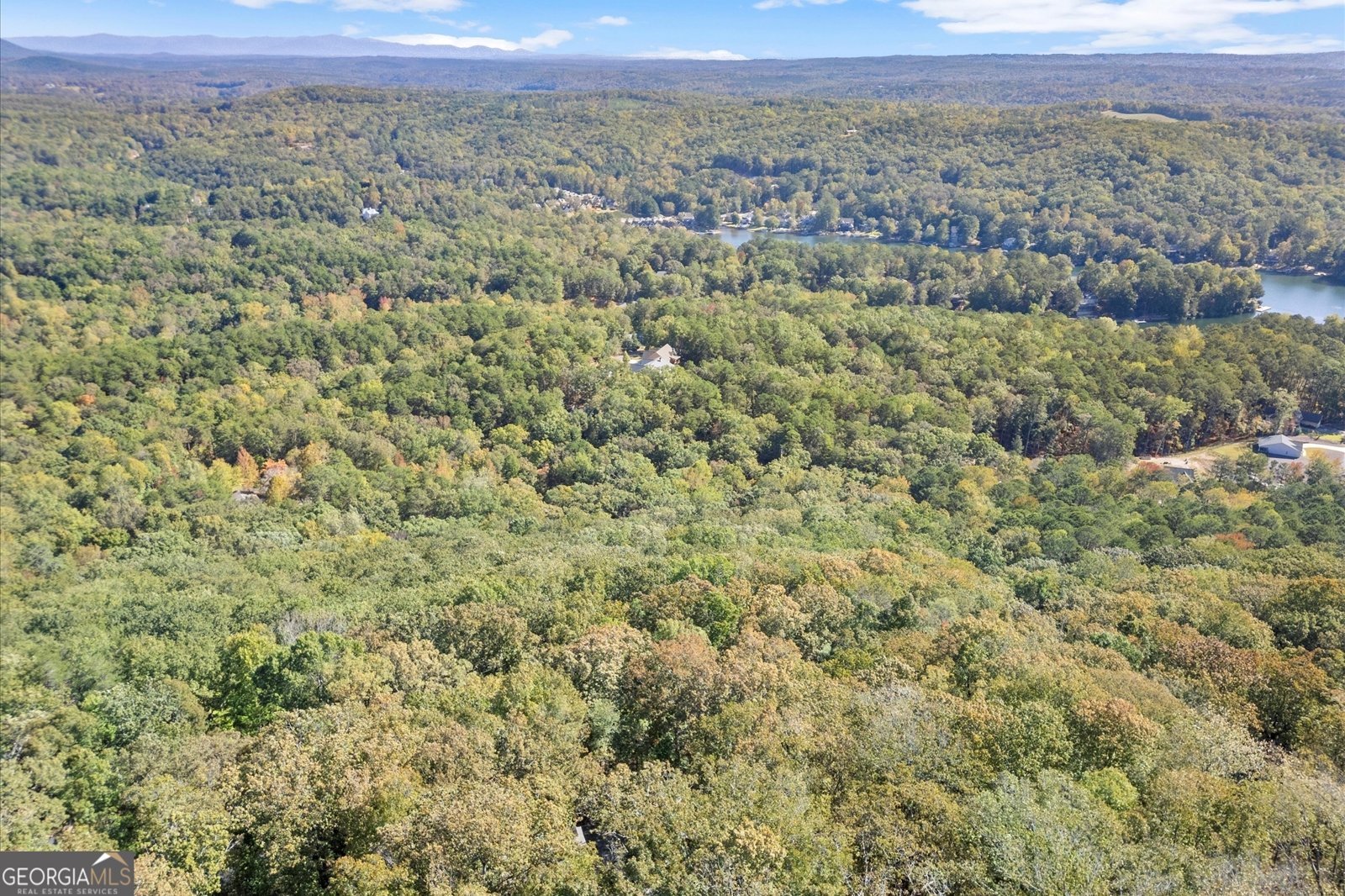 894 Lake Arrowhead Drive Waleska - 62