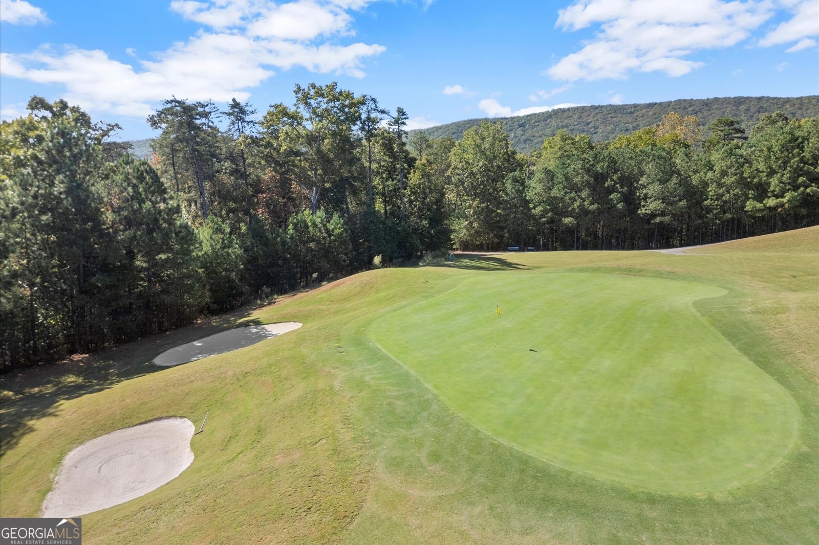 894 Lake Arrowhead Drive Waleska - 73