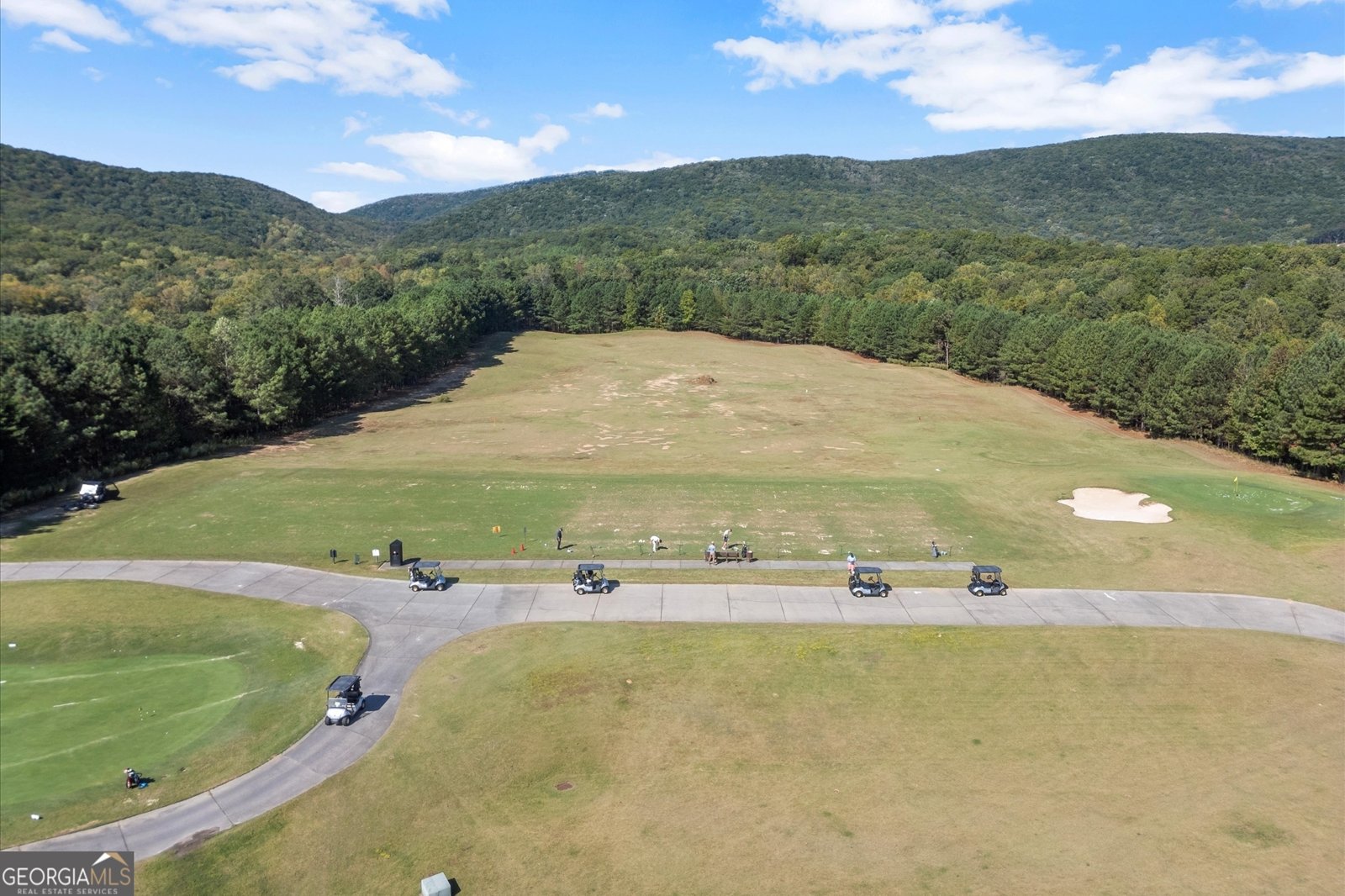 894 Lake Arrowhead Drive Waleska - 75