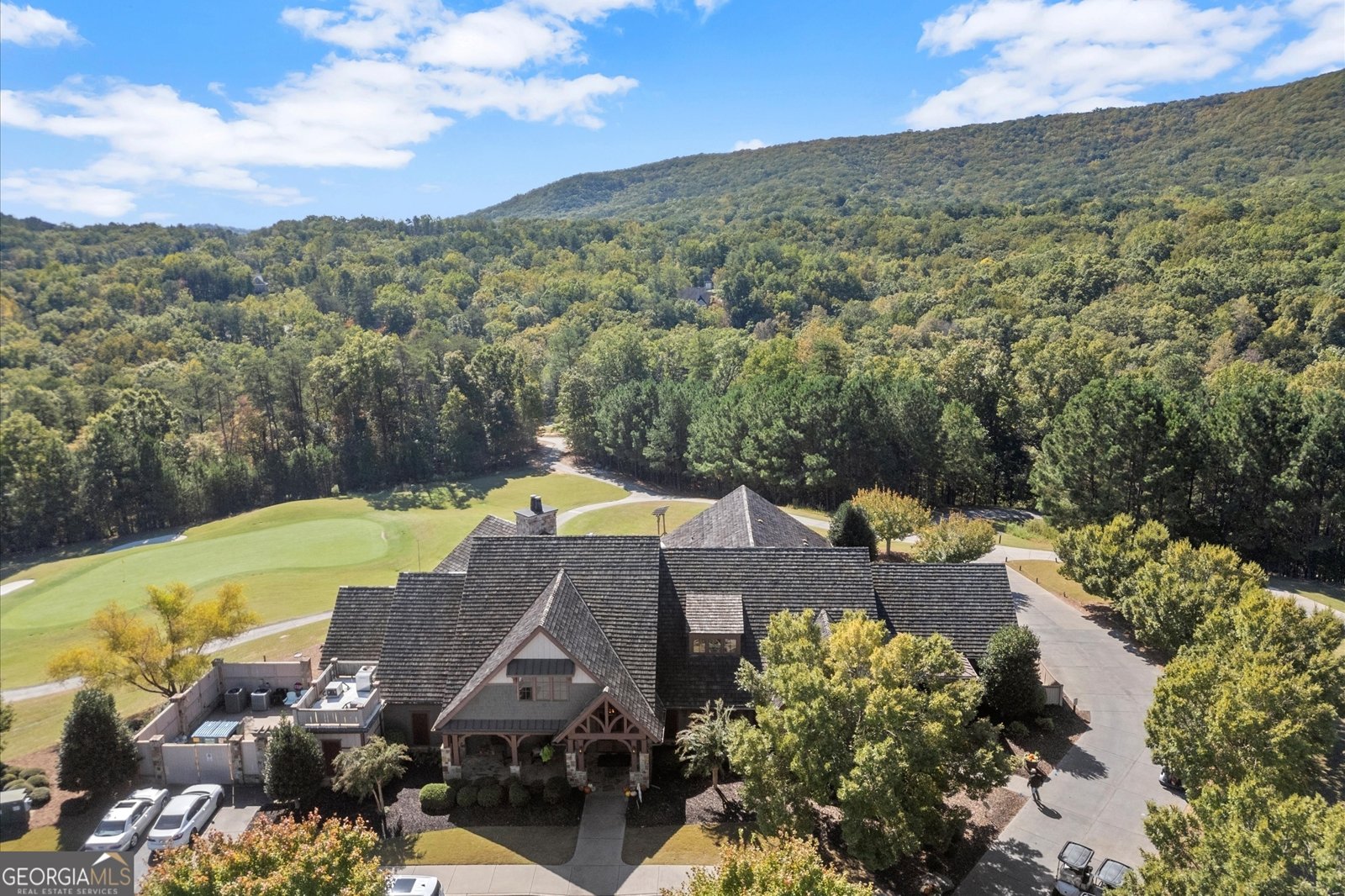 894 Lake Arrowhead Drive Waleska - 76