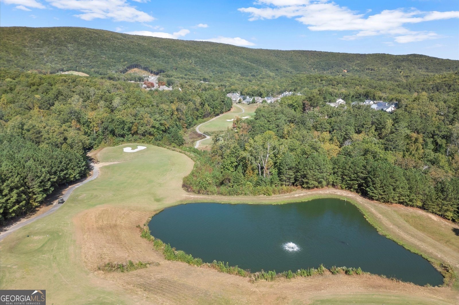 894 Lake Arrowhead Drive Waleska - 77