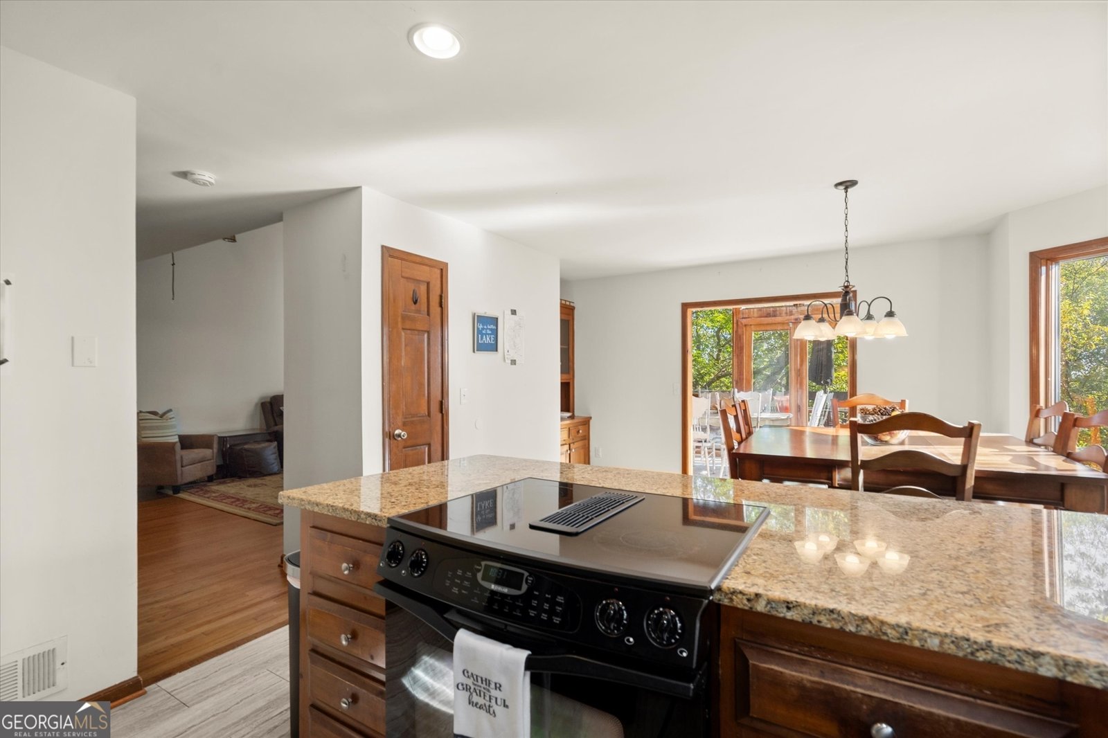 894 Lake Arrowhead Drive Waleska - 8