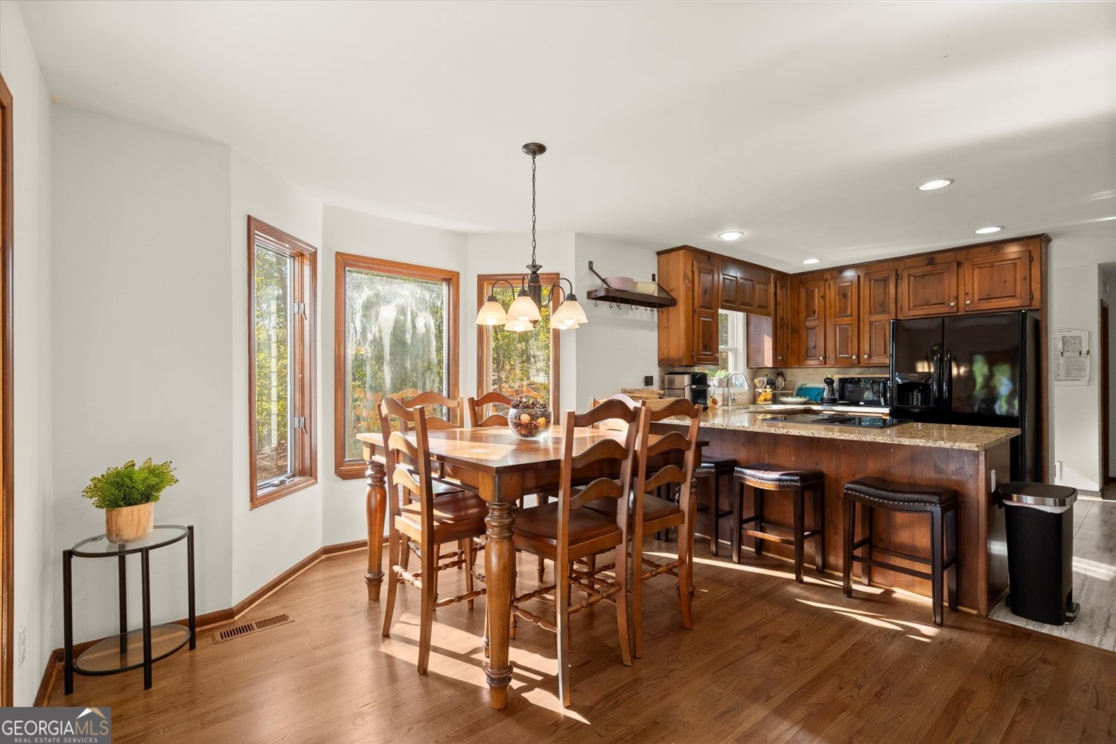 894 Lake Arrowhead Drive Waleska - 9