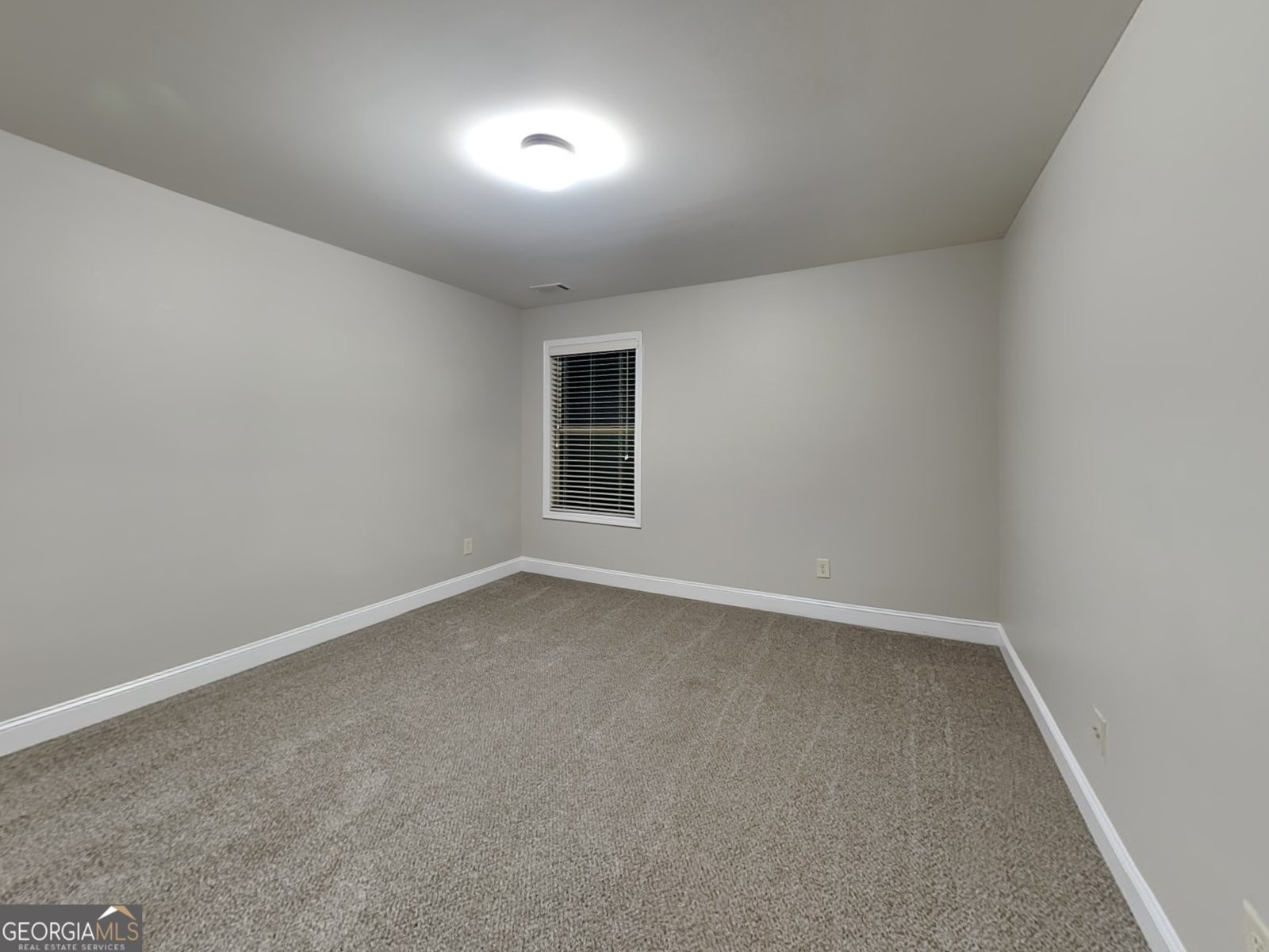 3170 Sparrow Creek Drive Loganville - 18