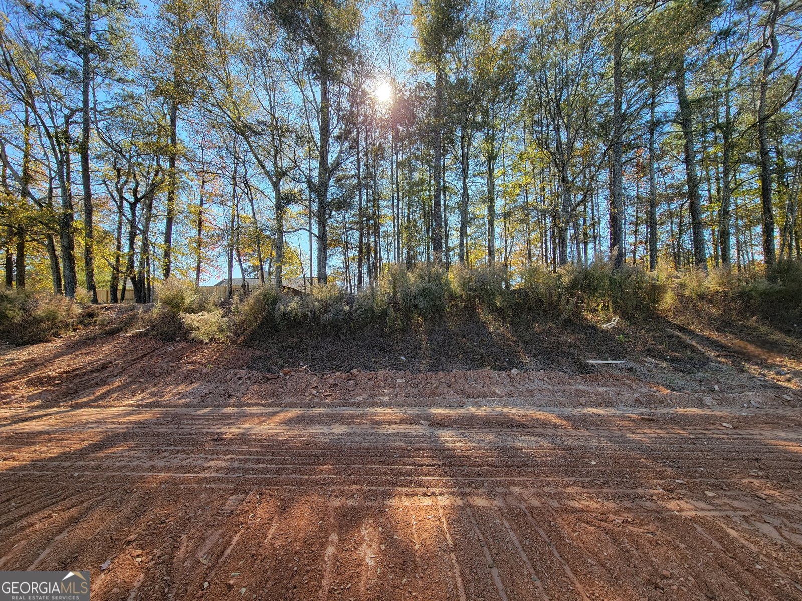 294 Silverleaf Trail Bethlehem - 20