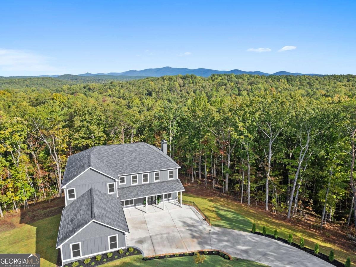 394 Settlers Ridge Drive Ball Ground - 40