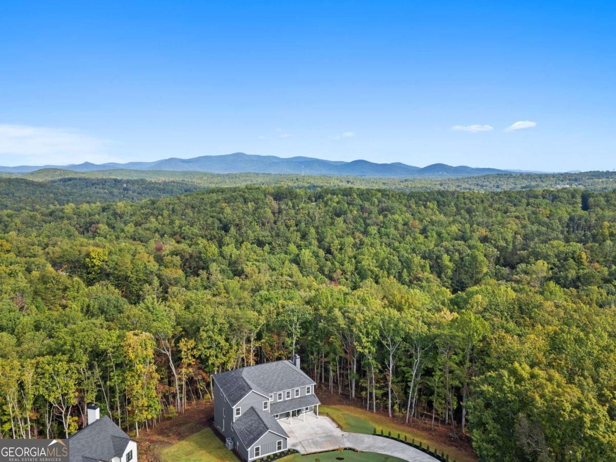 394 Settlers Ridge Drive Ball Ground - 41