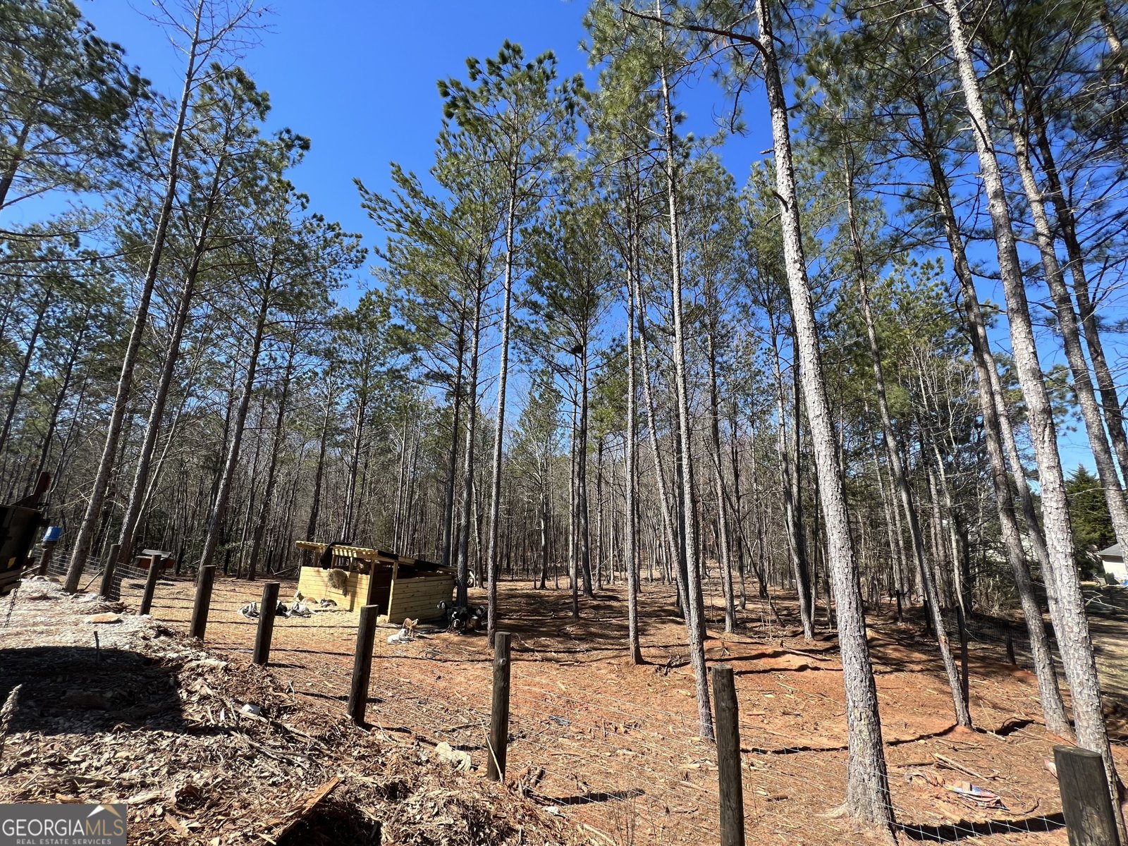 613 Bill Rutledge Road Winder - 11