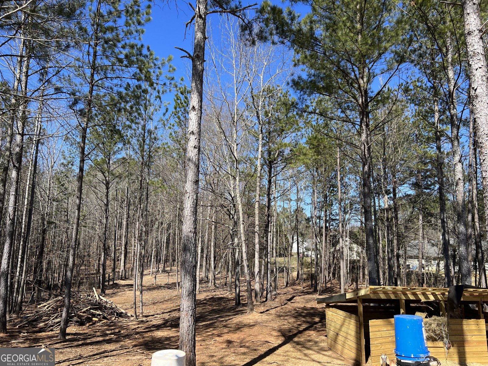 613 Bill Rutledge Road Winder - 6