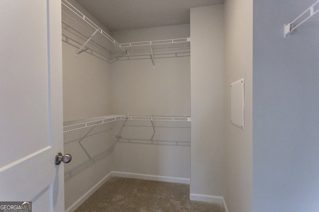 3016 Sea Aster Way Buford - 20