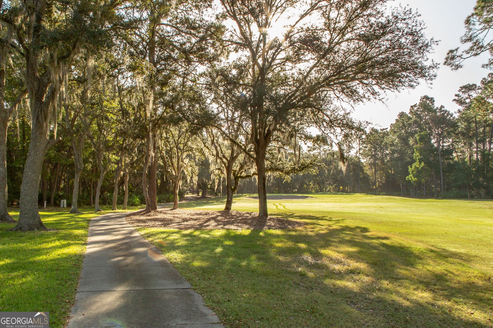 1439 South River Oaks Drive Blackshear - 33