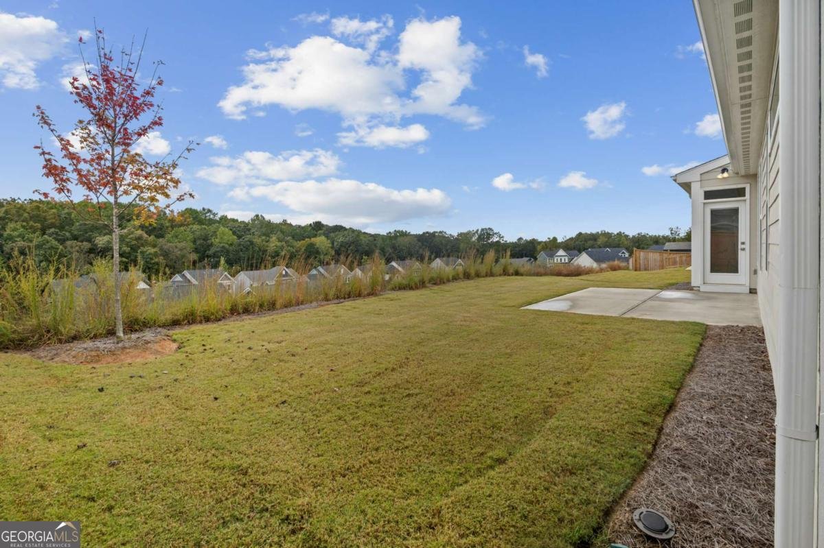 201 Catalpa Grove Braselton - 24