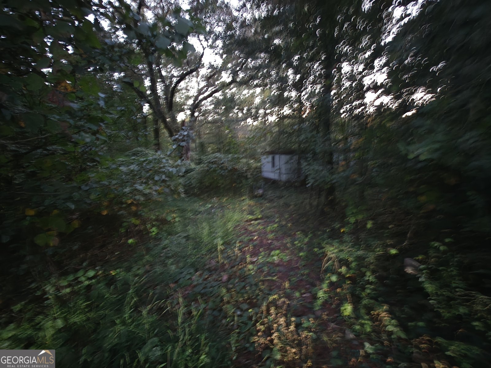 5231 Dahlonega Highway Clermont - 3