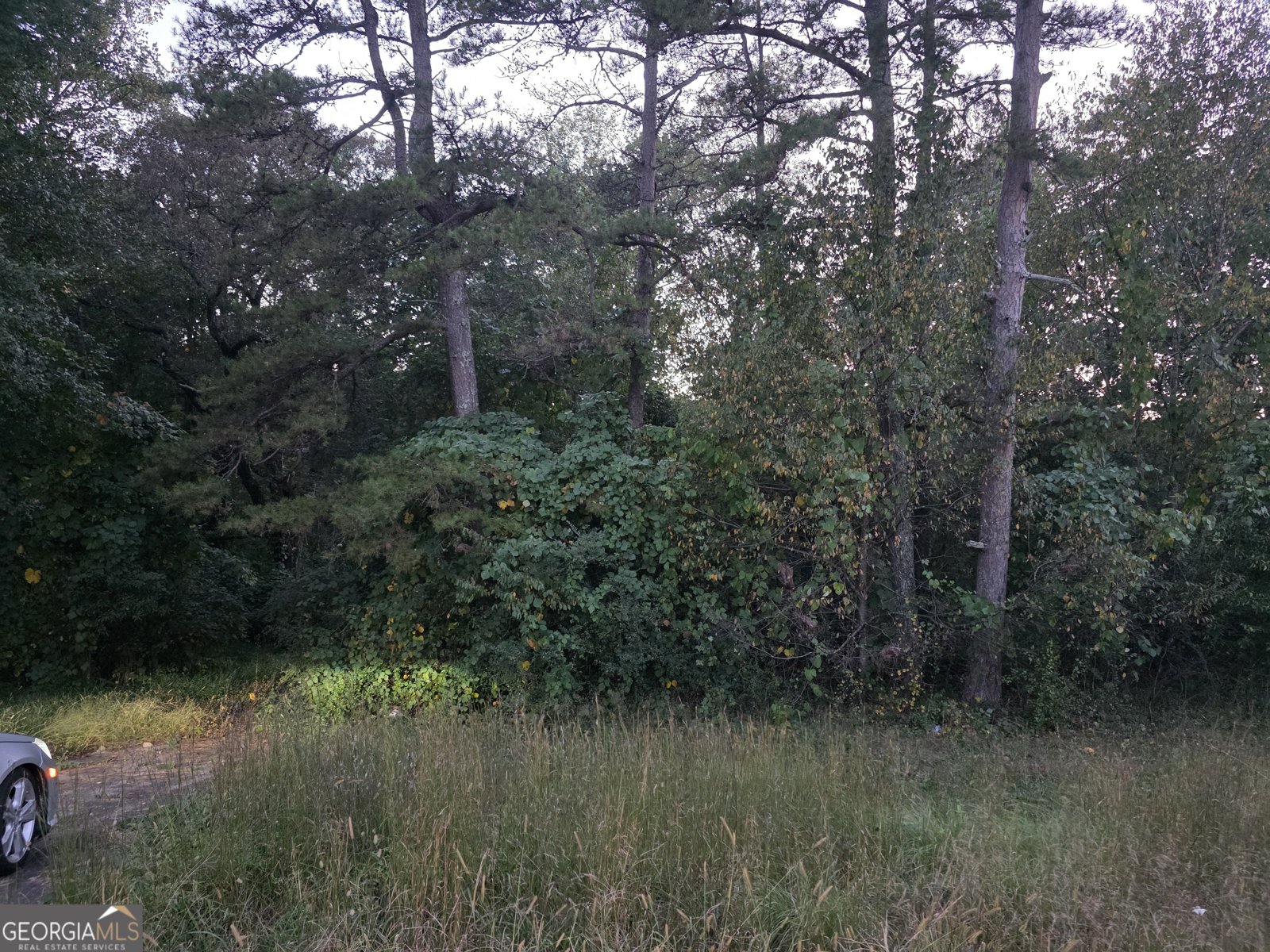 5613 Bogus Road Gainesville - 5