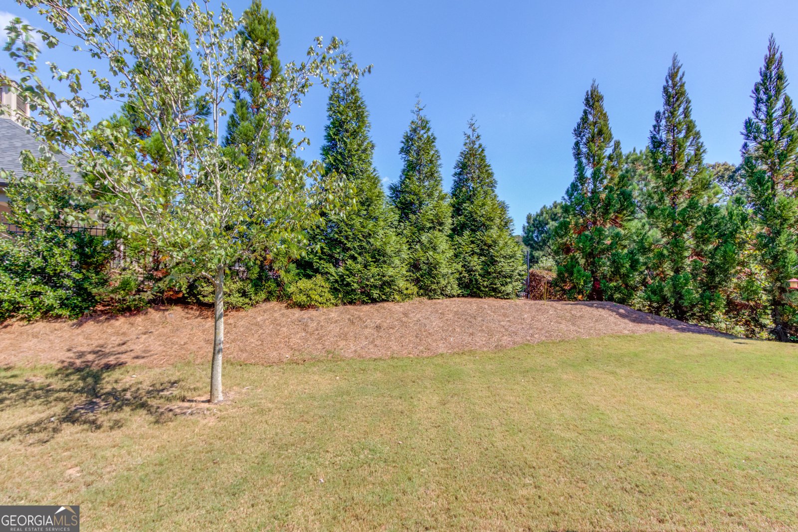 1721 Landon Lane Braselton - 47