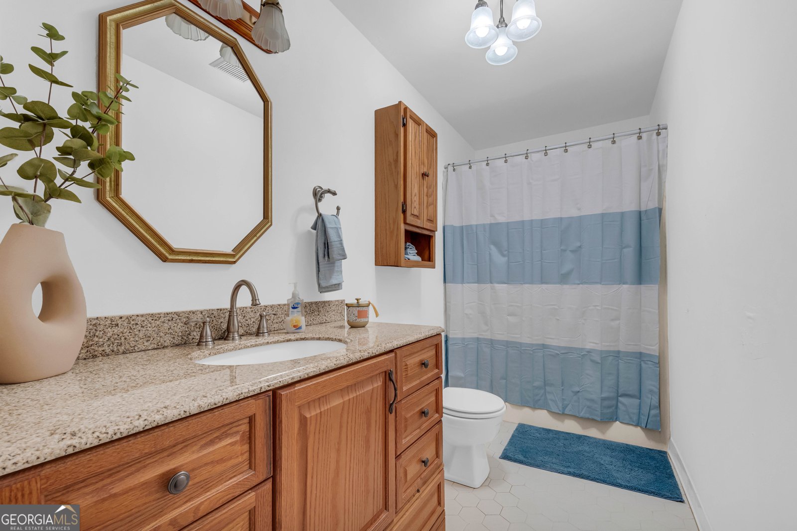3044 Browns Bridge Road Gainesville - 5