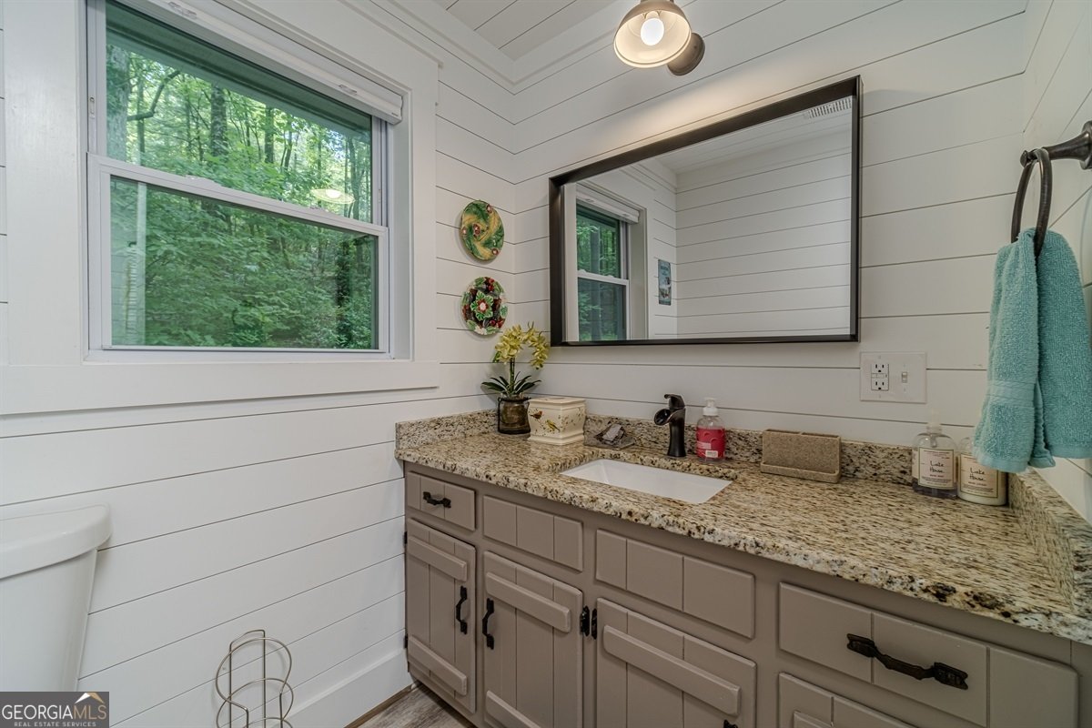 15668 Highway 197 Clarkesville - 14