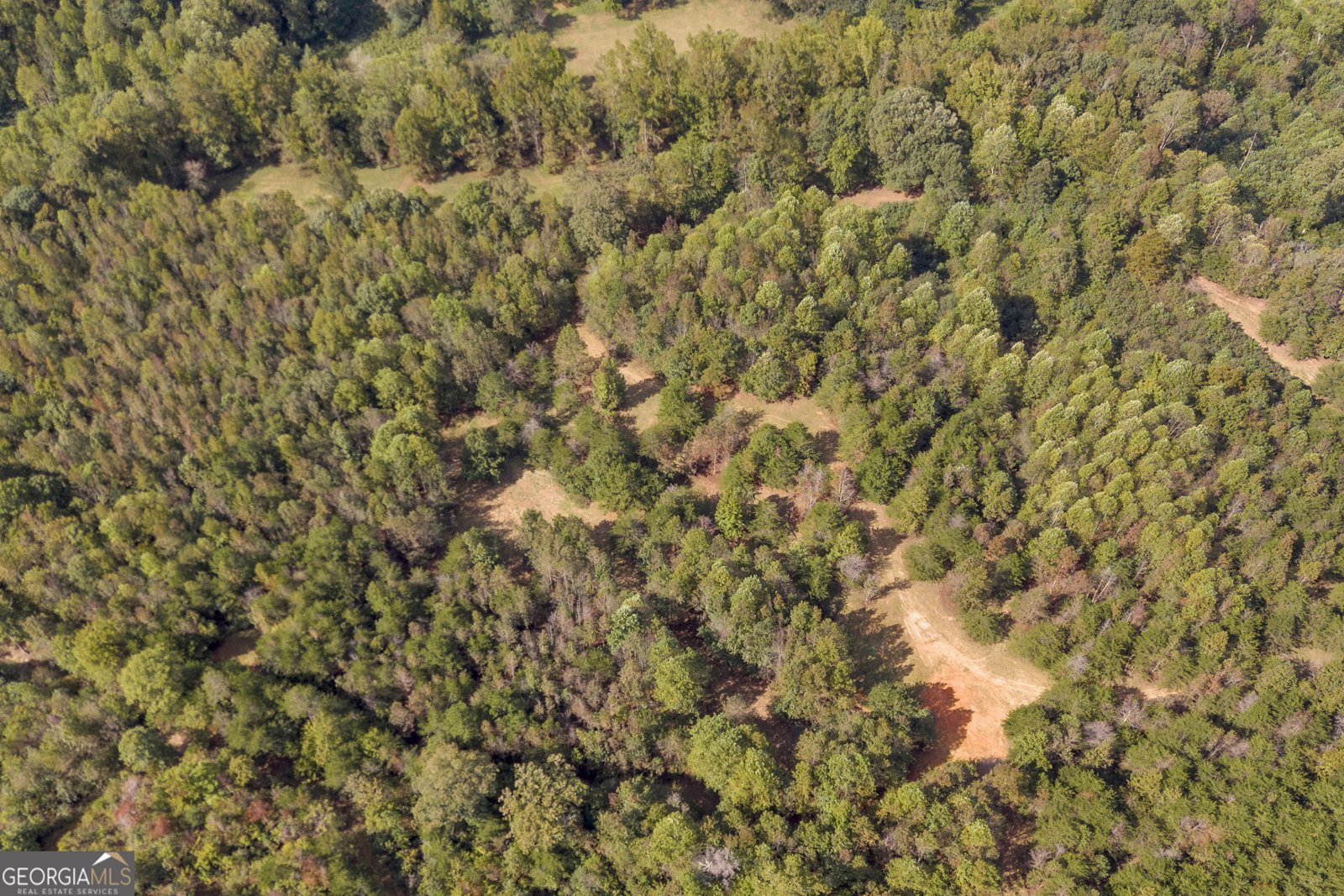 438 Turner Road Cleveland - 118