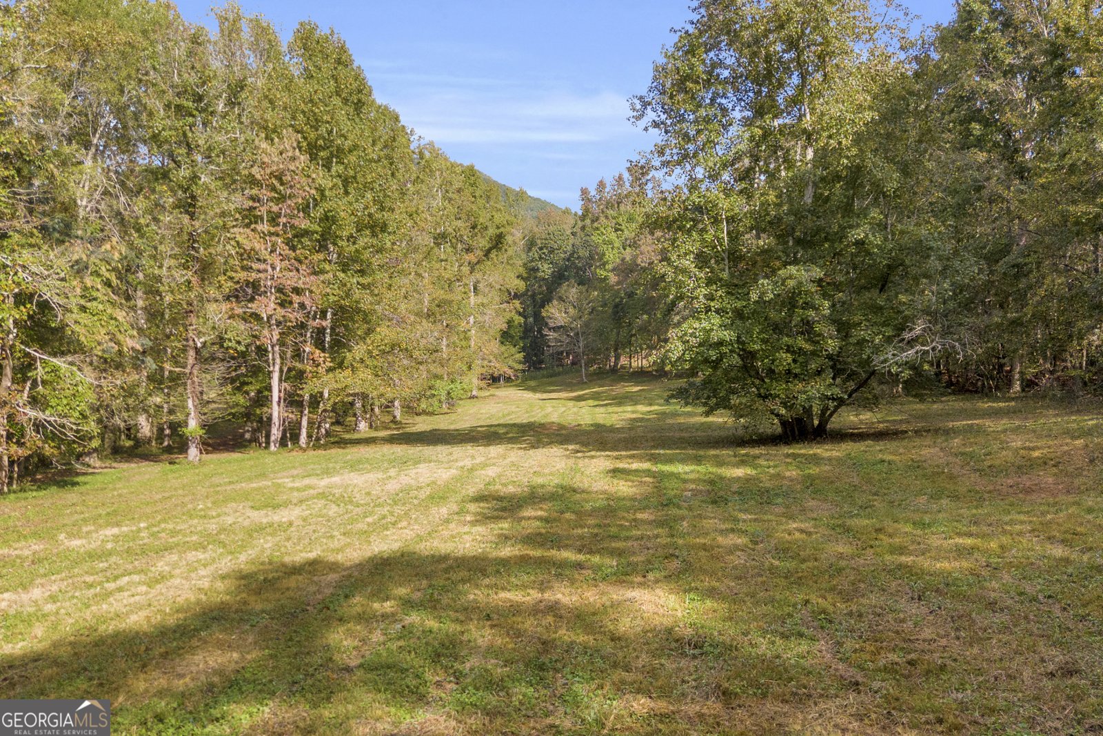 438 Turner Road Cleveland - 38