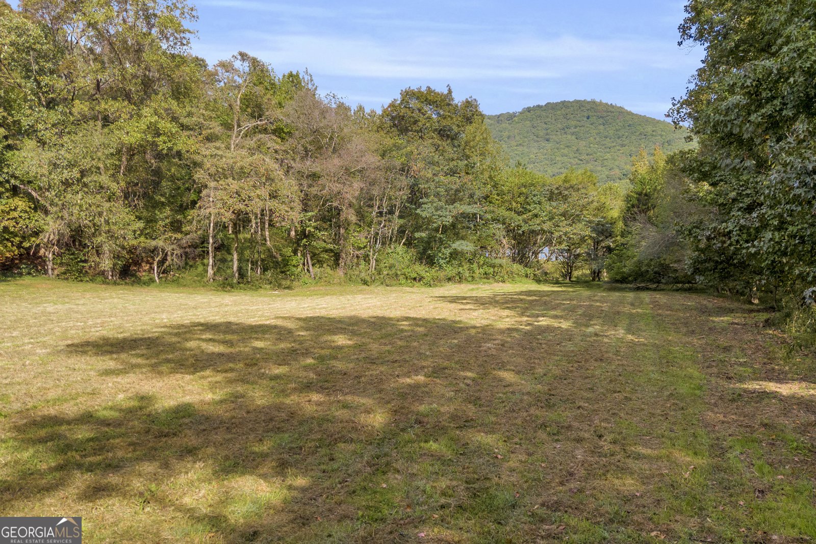 438 Turner Road Cleveland - 39