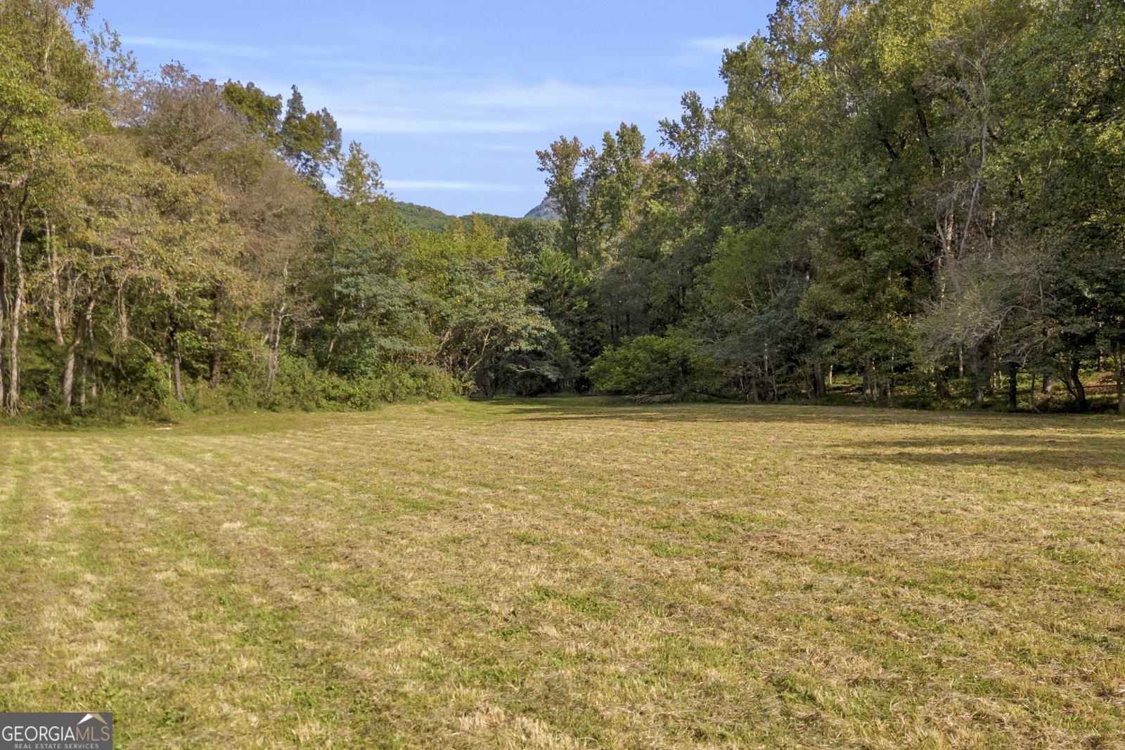438 Turner Road Cleveland - 40