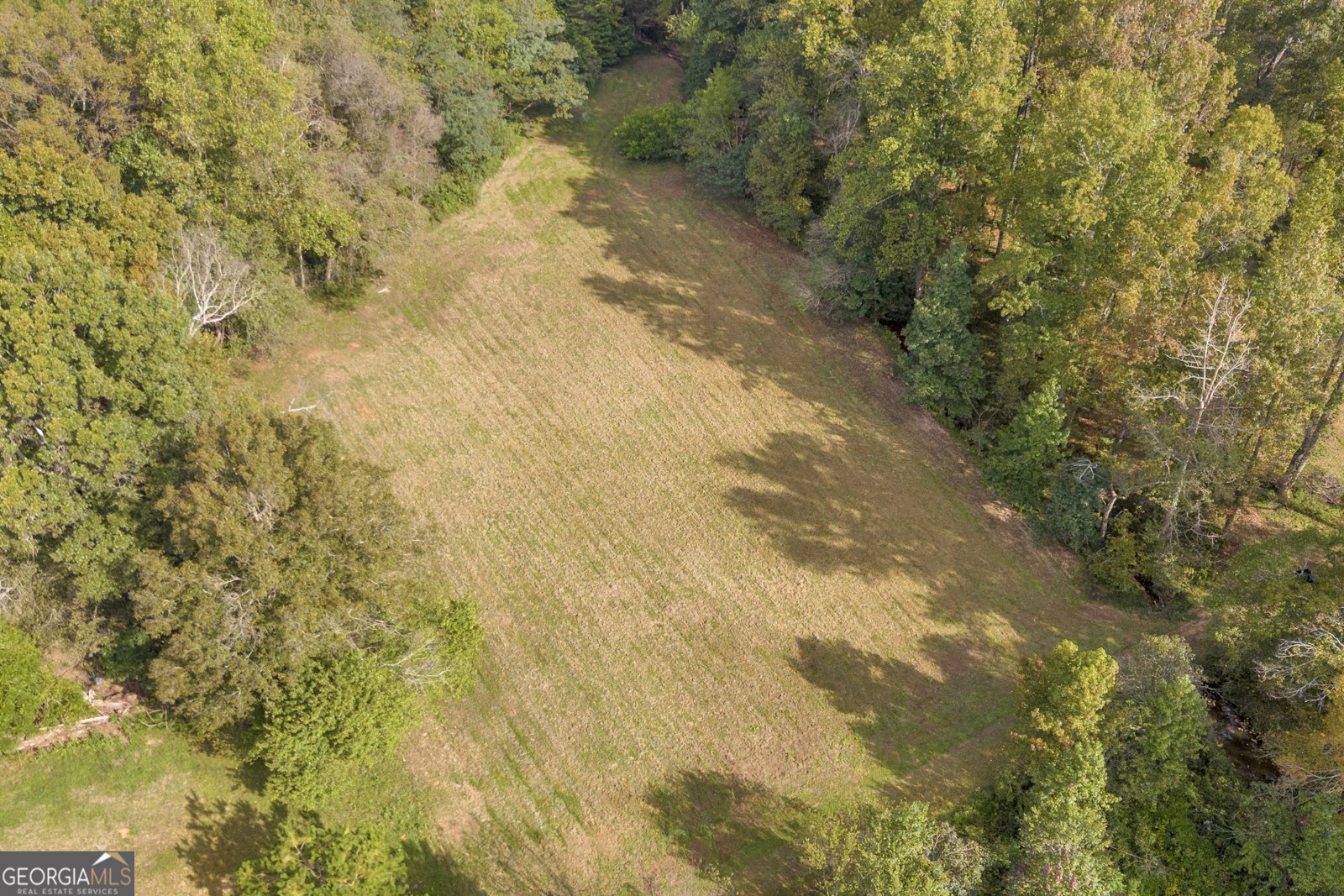 438 Turner Road Cleveland - 42