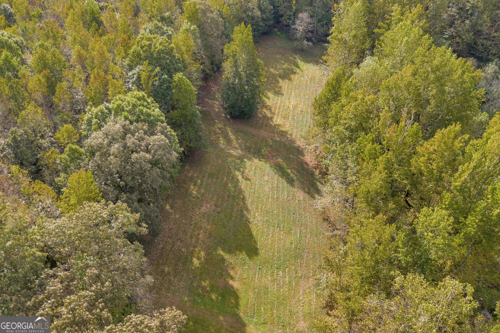 438 Turner Road Cleveland - 44