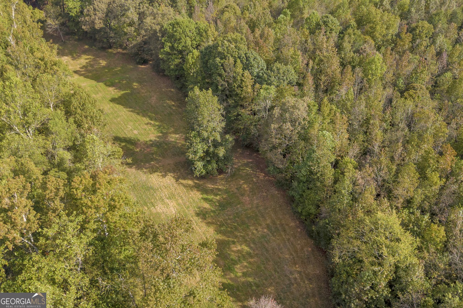 438 Turner Road Cleveland - 45