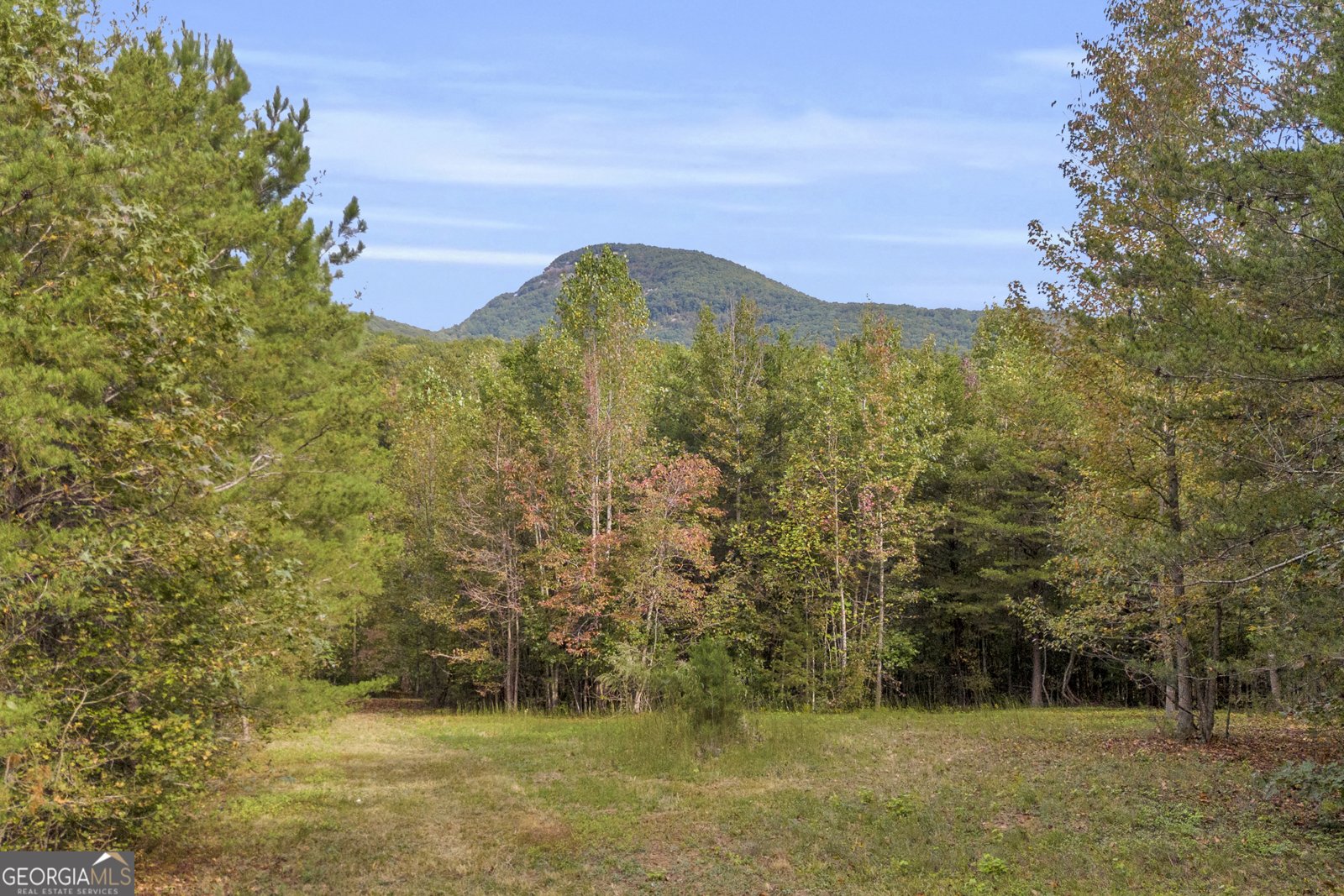 438 Turner Road Cleveland - 47