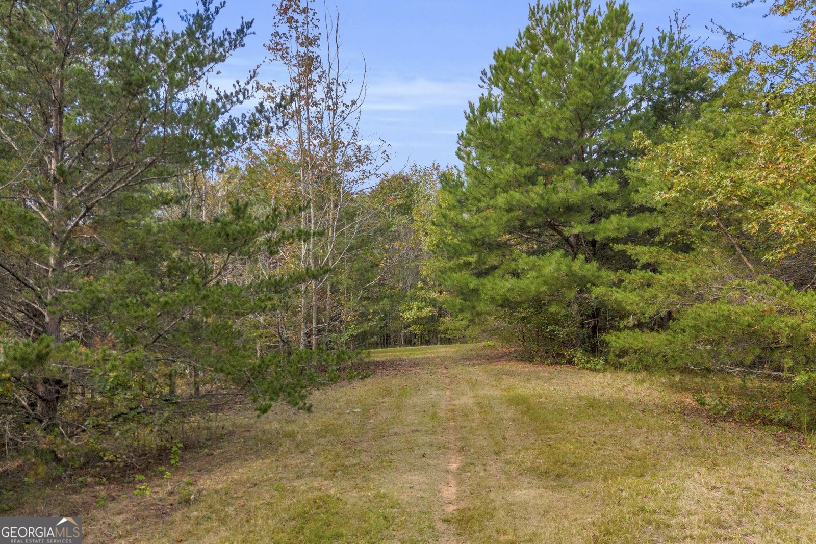 438 Turner Road Cleveland - 53