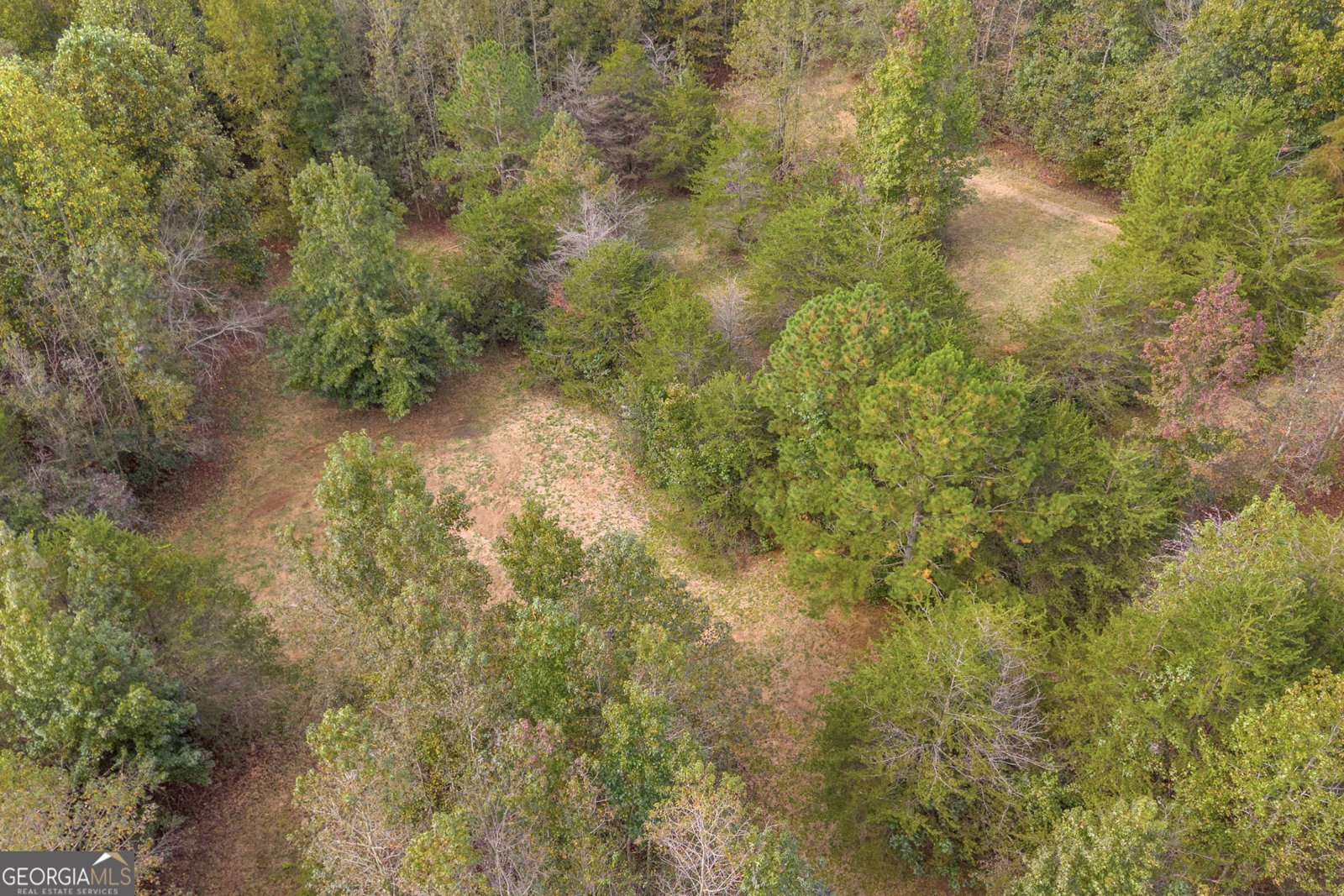 438 Turner Road Cleveland - 58