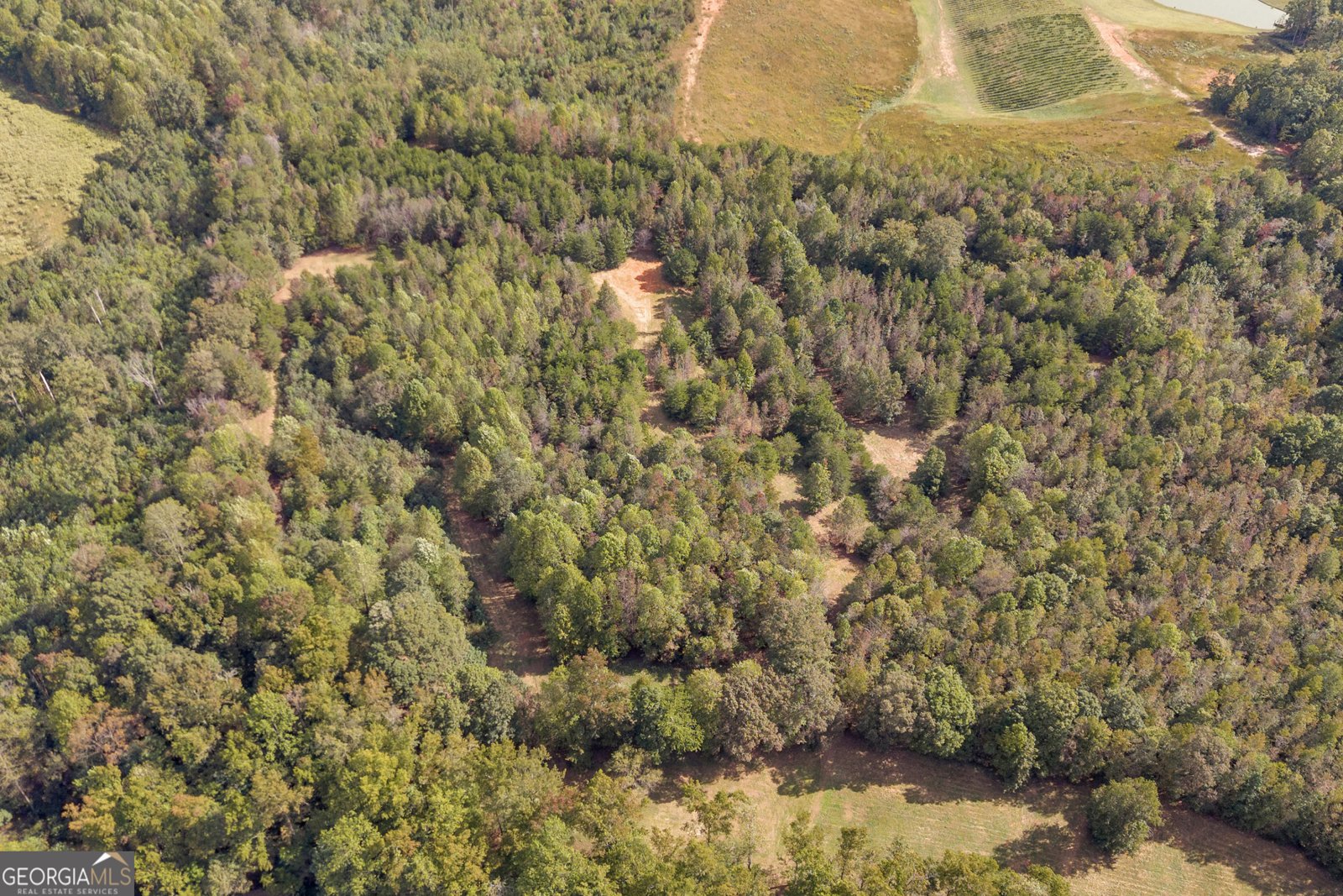 438 Turner Road Cleveland - 68