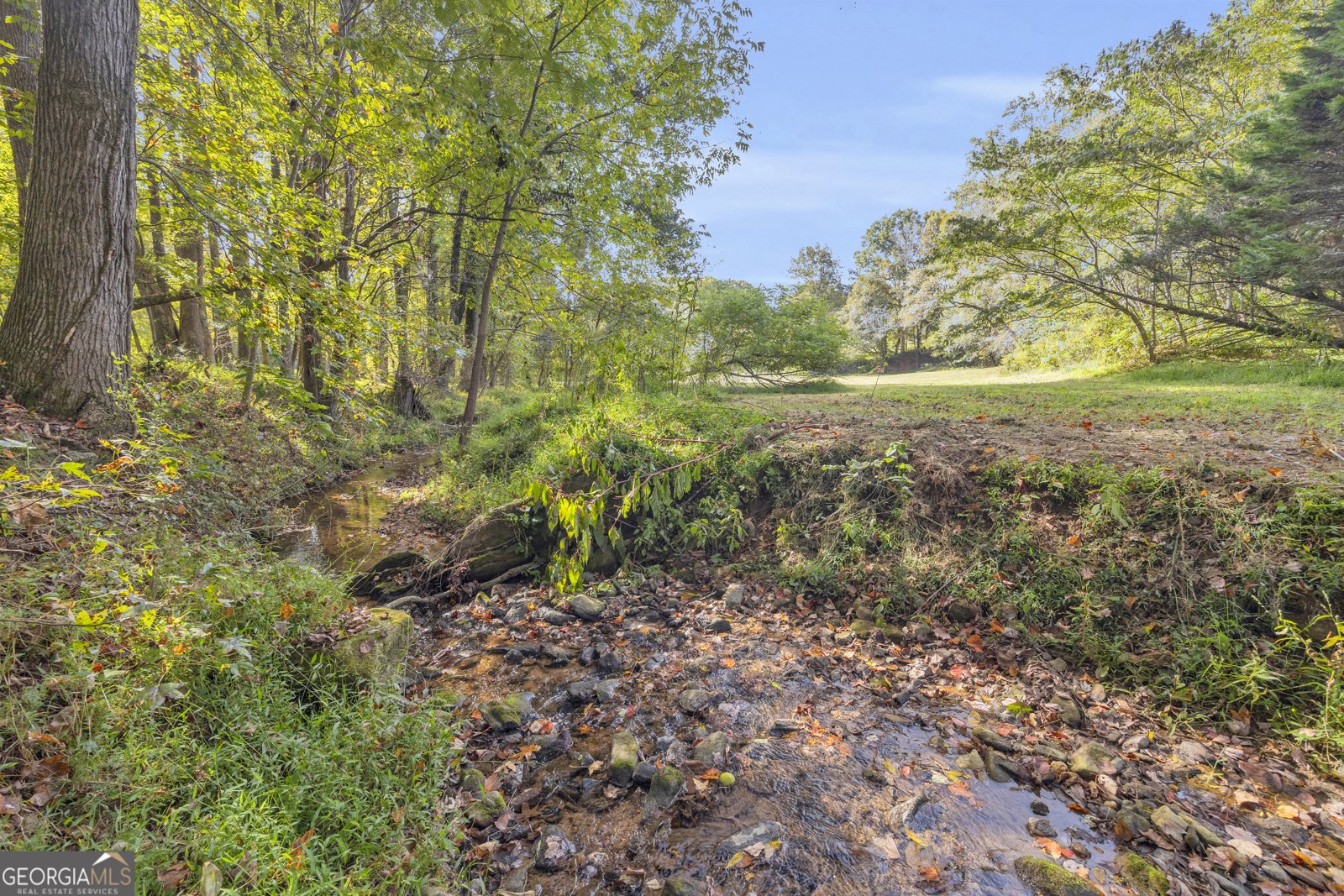 438 Turner Road Cleveland - 76