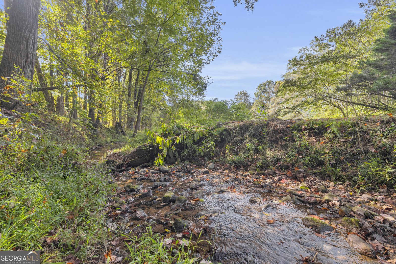 438 Turner Road Cleveland - 77
