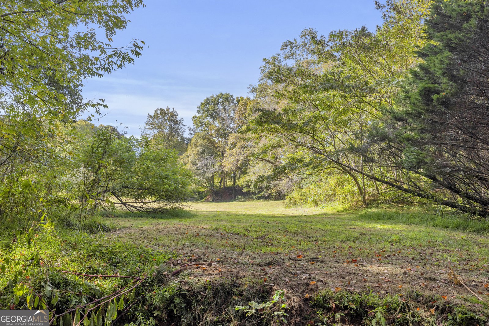 438 Turner Road Cleveland - 78
