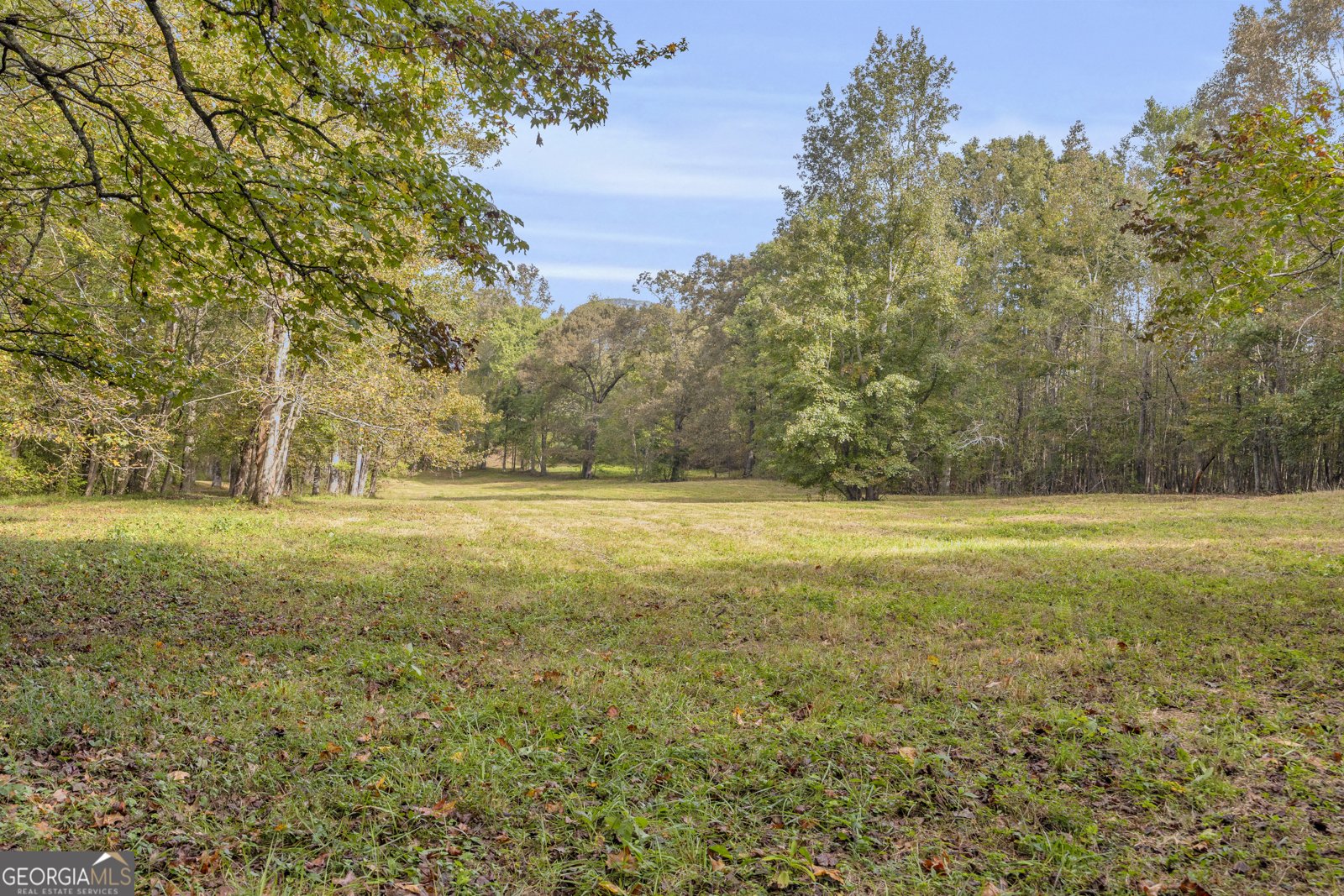 438 Turner Road Cleveland - 80