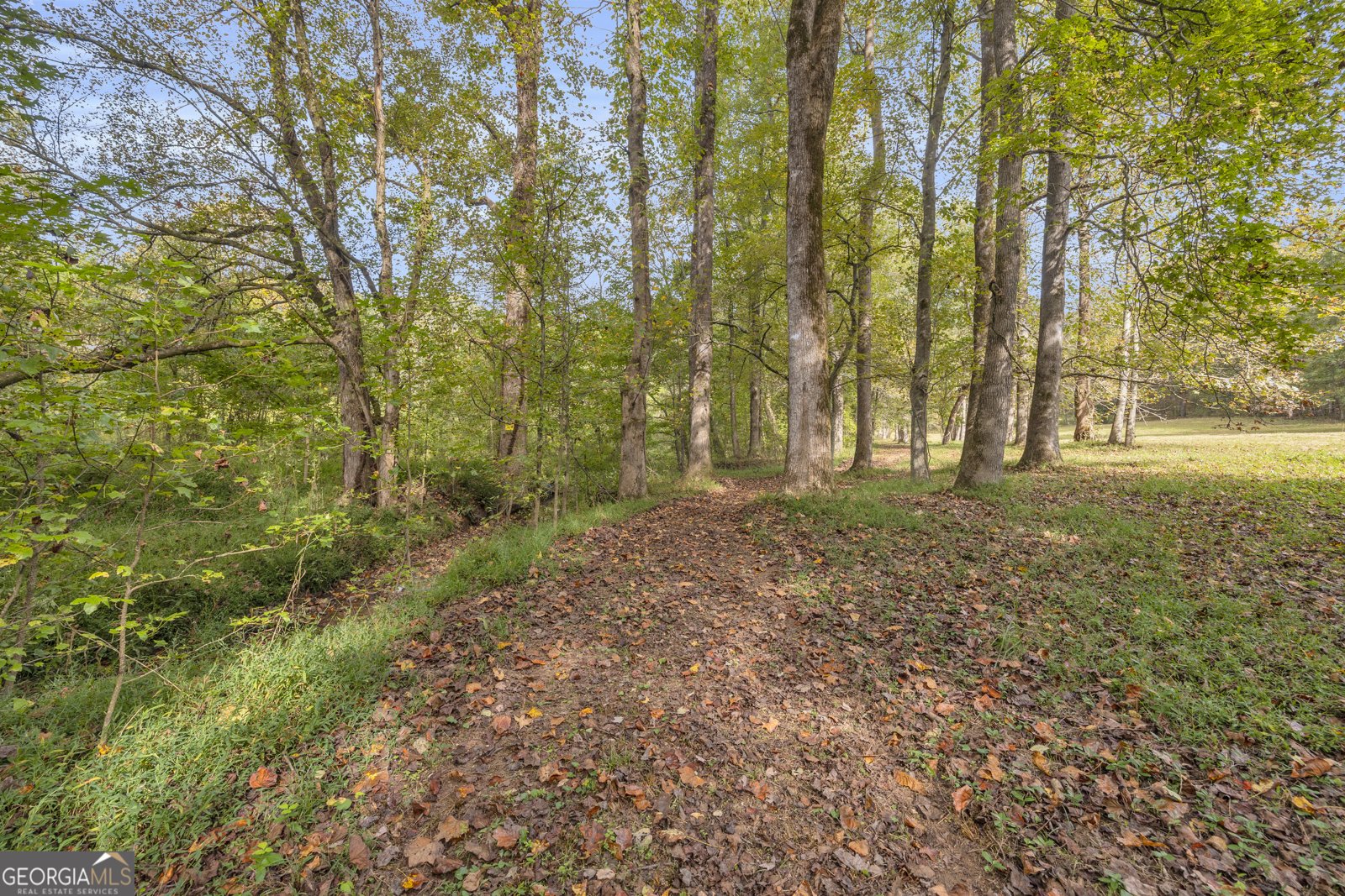 438 Turner Road Cleveland - 81