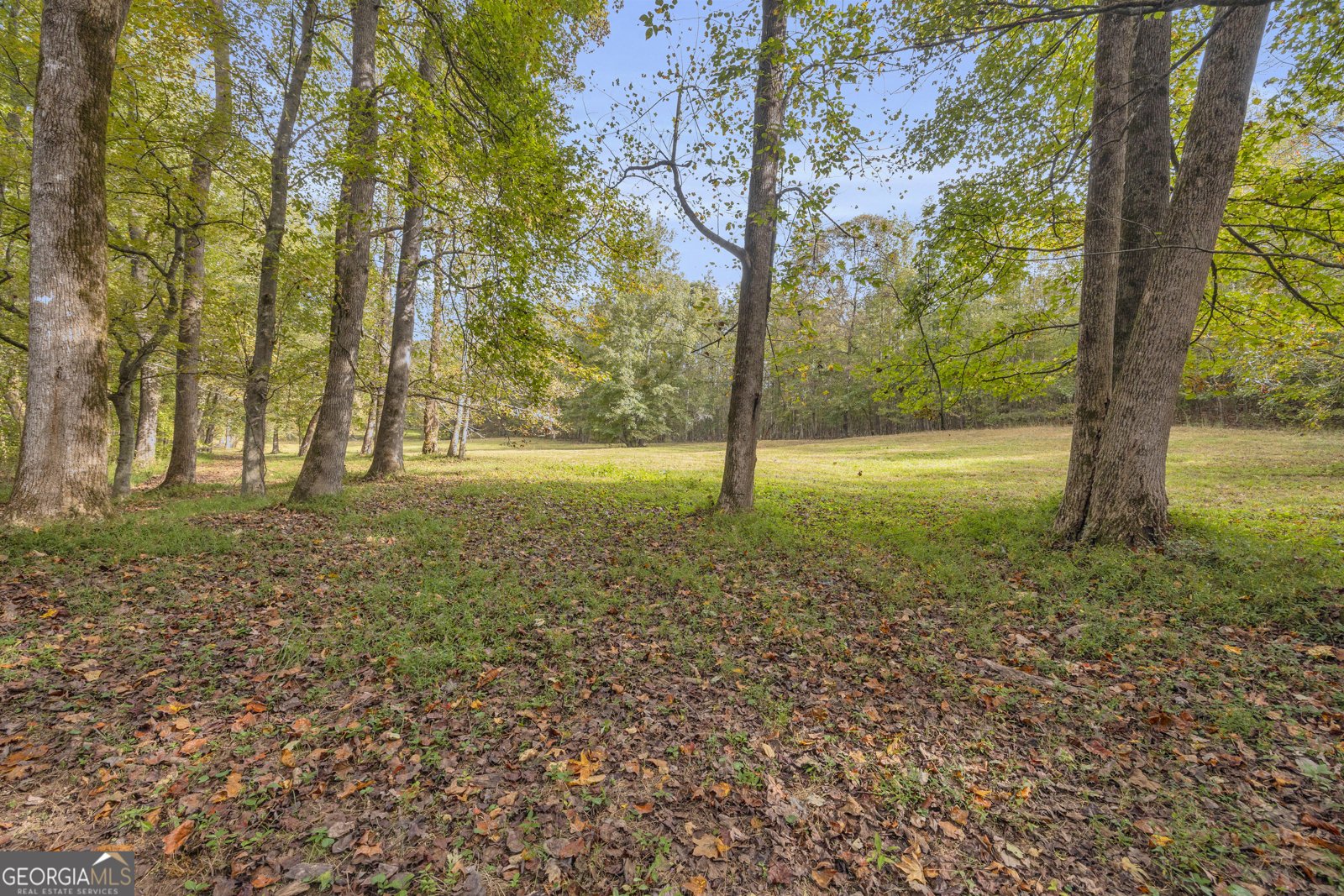 438 Turner Road Cleveland - 82
