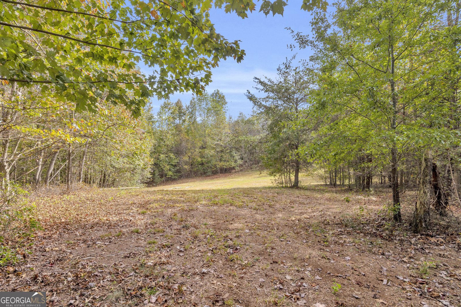 438 Turner Road Cleveland - 84