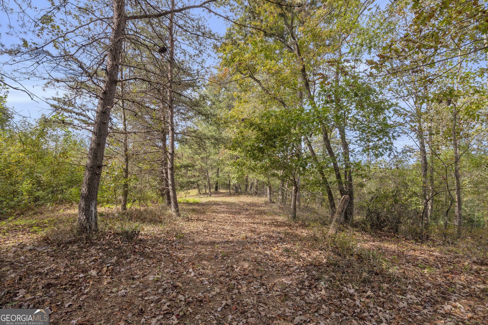 438 Turner Road Cleveland - 85