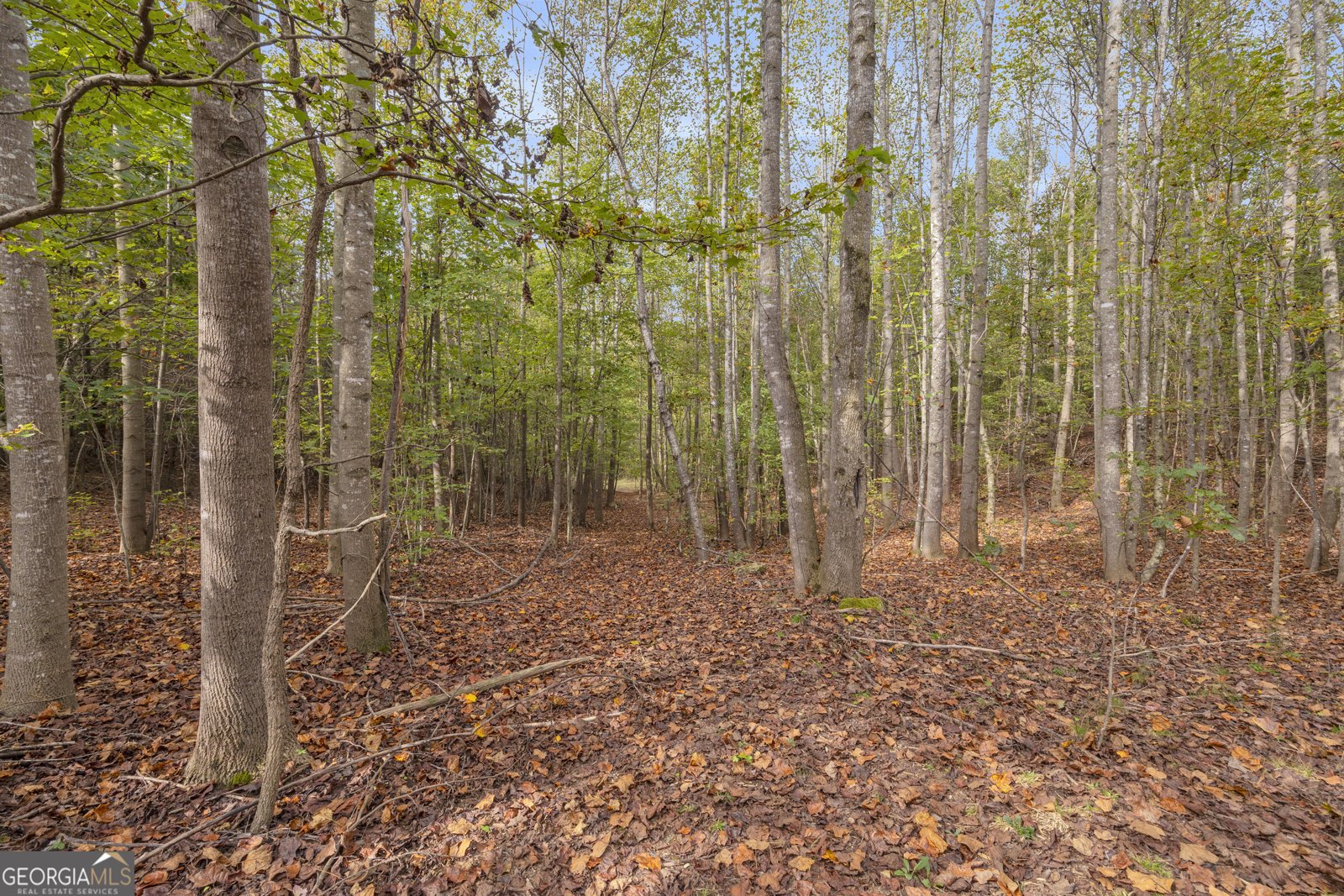 438 Turner Road Cleveland - 86