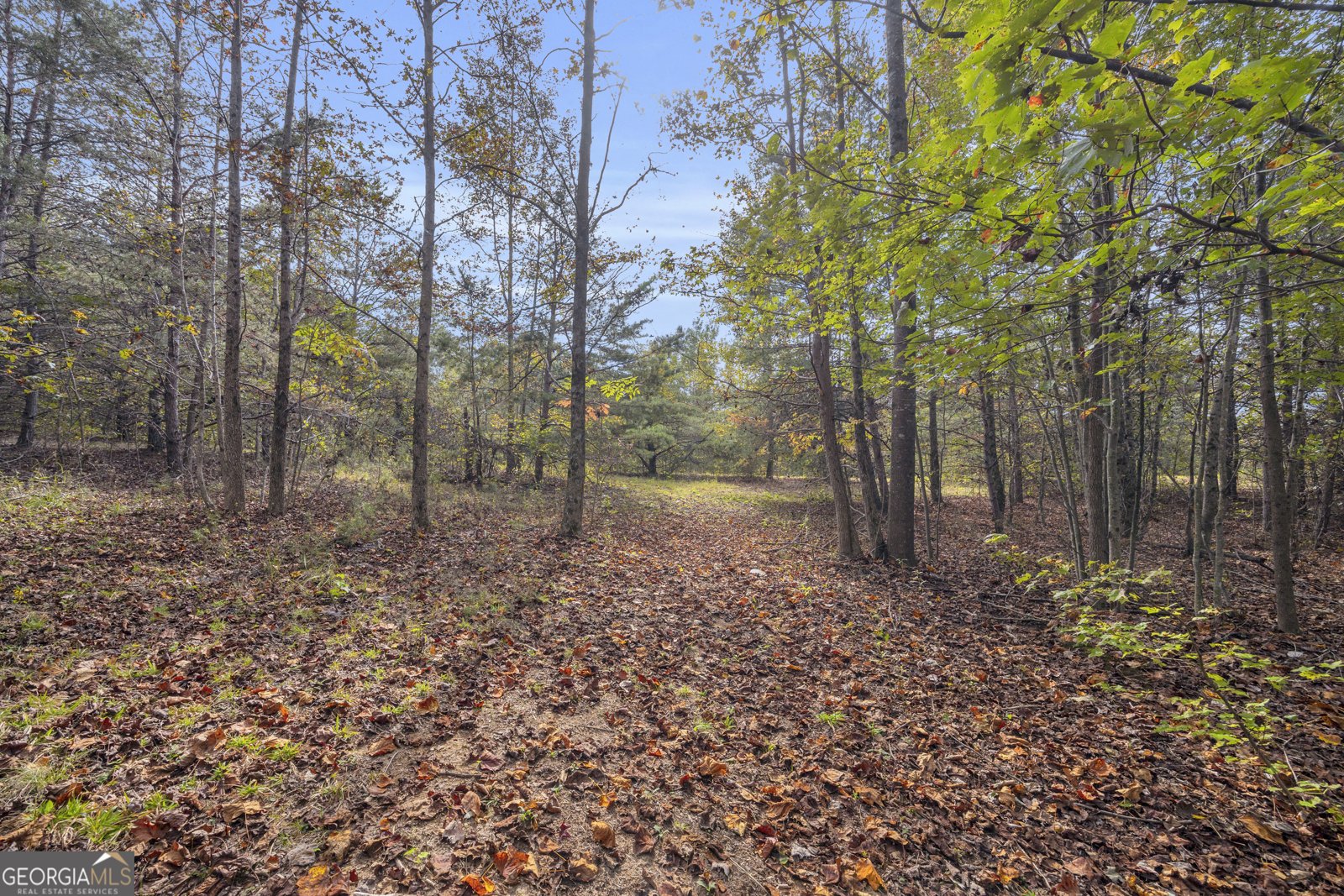 438 Turner Road Cleveland - 87