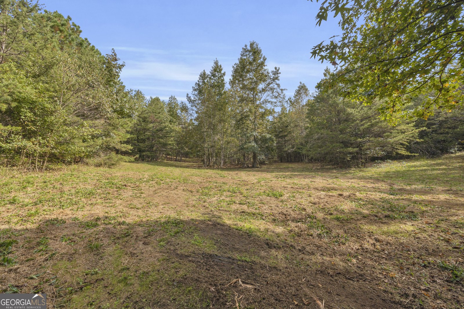 438 Turner Road Cleveland - 88